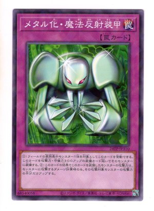 画像1: メタル化・魔法反射装甲