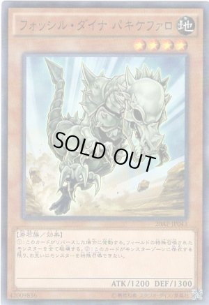 画像1: フォッシル・ダイナ　パキケファロ Parallel