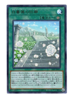 画像1: 白薔薇の回廊 Ultra