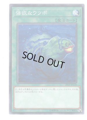 画像1: 強欲なウツボ