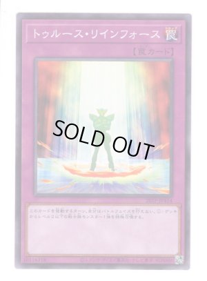 画像1: トゥルース・リインフォース