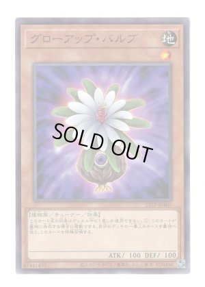 画像1: グローアップ・バルブ