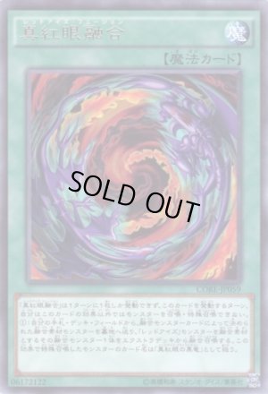 画像1: 真紅眼融合(レッドアイズ・フュージョン) Rare