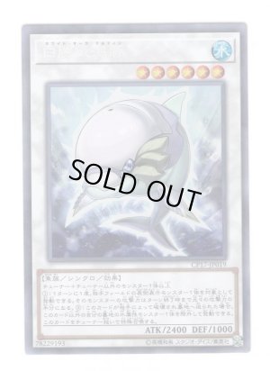 画像1: 白闘気海豚(ホワイト・オーラ・ドルフィン) Collectors