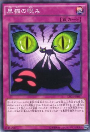 画像1: 黒猫の睨み