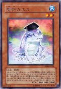 魔知ガエル Rare