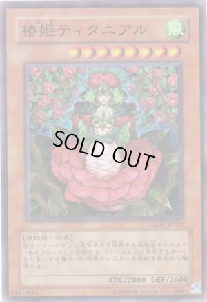 画像1: 椿姫ティタニアル Super