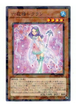 画像1: 六花精シクラン Palla