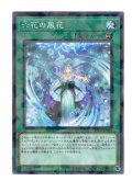 六花の風花 Palla