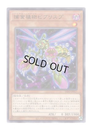 画像1: 捕食植物ビブリスプ Rare