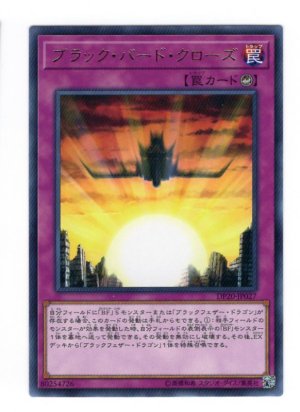 画像1: ブラック・バード・クローズ Rare