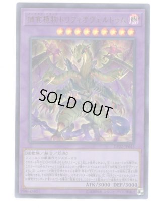 画像1: 捕食植物トリフィオヴェルトゥム Ultra