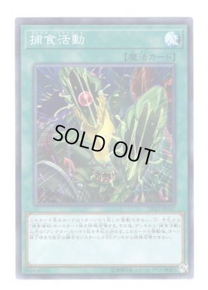 画像1: 捕食活動 Super