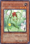 ナチュル・ローズウィップ Rare