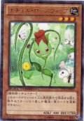 ナチュル・ローズウィップ Rare