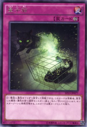 画像1: 量子猫 Rare