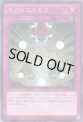 マクロコスモス