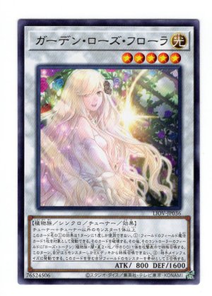 画像1: ガーデン・ローズ・フローラ Rare