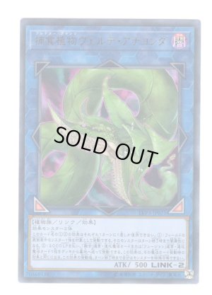 画像1: 捕食植物ヴェルテ・アナコンダ Ultra