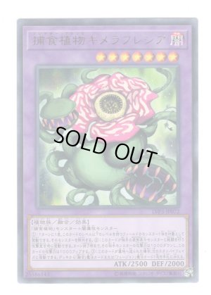 画像1: 捕食植物キメラフレシア Rare