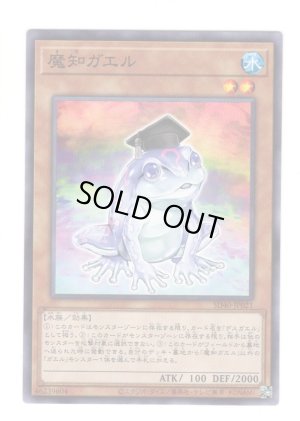 画像1: 魔知ガエル
