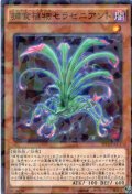 捕食植物セラセニアント  N-Parallel