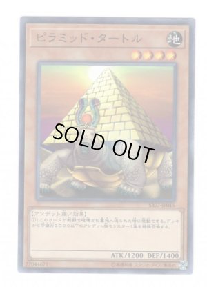 画像1: ピラミッド・タートル