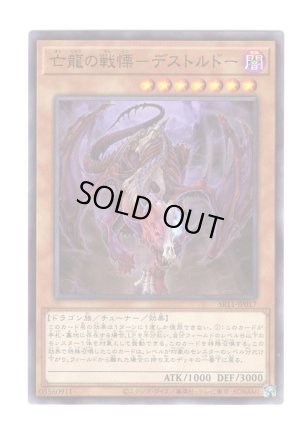 画像1: 亡龍の戦慄－デストルドー