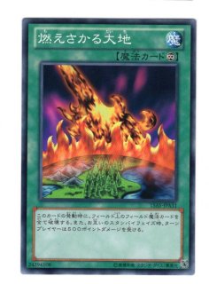 70726f647563742f313561792f3135