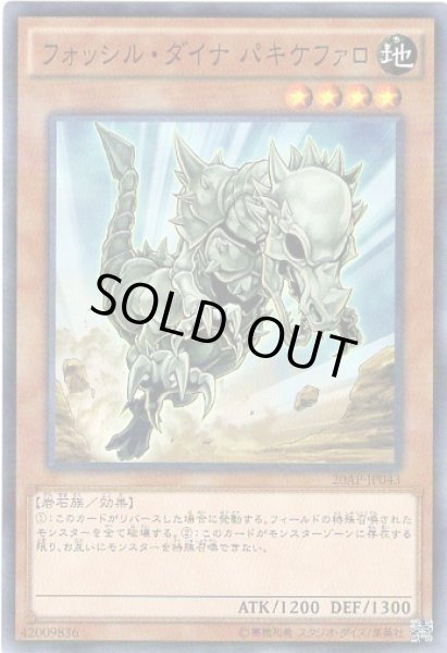 画像1: フォッシル・ダイナ　パキケファロ Parallel (1)