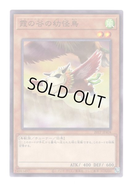 画像1: 霞の谷の幼怪鳥 (1)