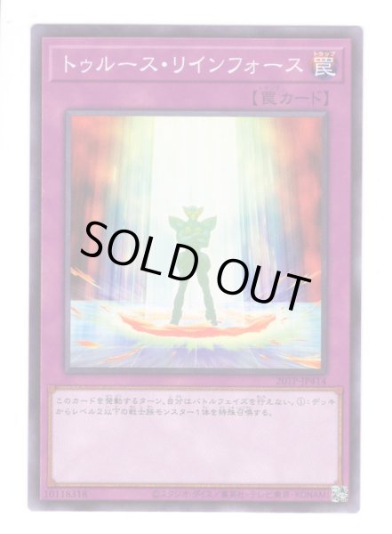 画像1: トゥルース・リインフォース (1)