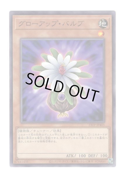 画像1: グローアップ・バルブ (1)