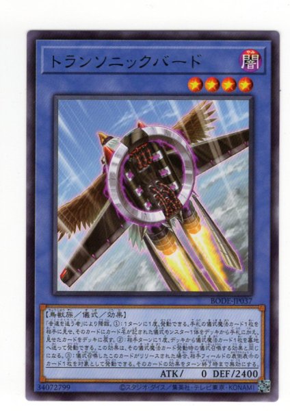 画像1: トランソニックバード Rare (1)