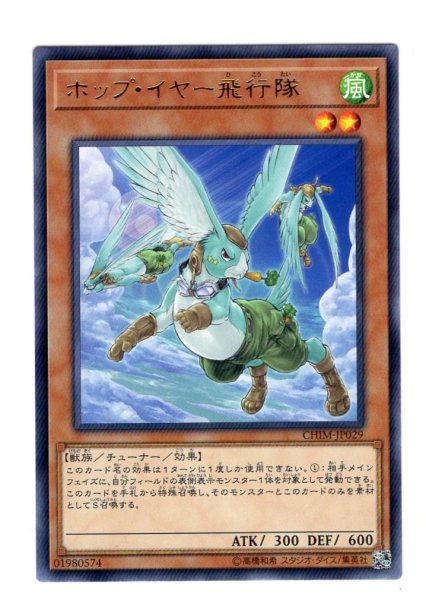 画像1: ホップ・イヤー飛行隊 Rare (1)