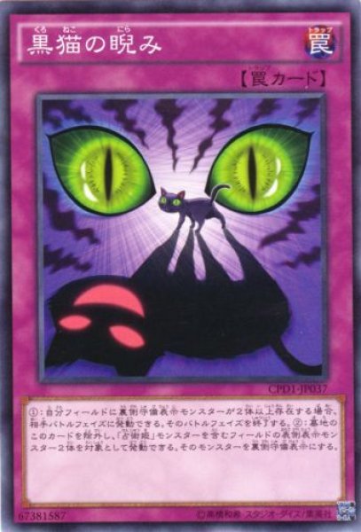 画像1: 黒猫の睨み (1)