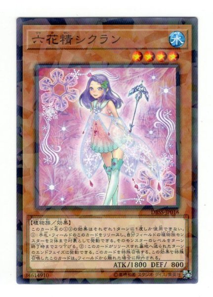 画像1: 六花精シクラン Palla (1)