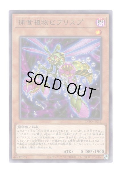 画像1: 捕食植物ビブリスプ Rare (1)