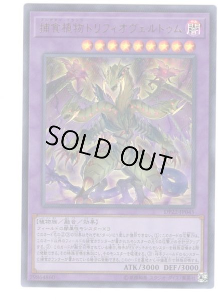 画像1: 捕食植物トリフィオヴェルトゥム Ultra (1)