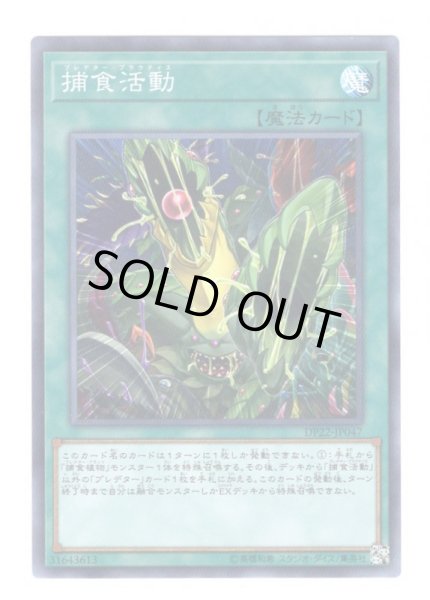 画像1: 捕食活動 Super (1)