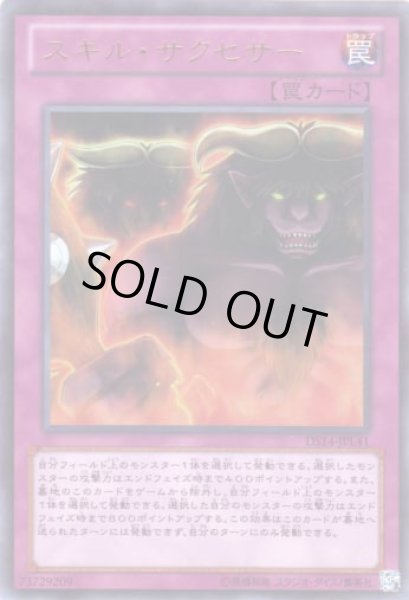 画像1: スキル・サクセサー (1)