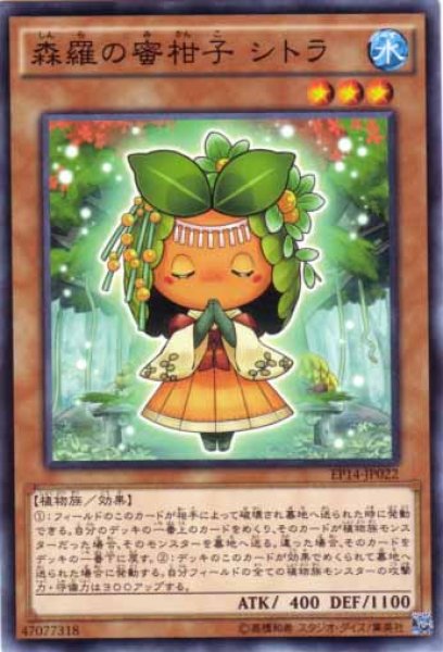 画像1: 森羅の蜜柑子  シトラ (1)