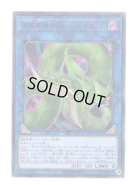 画像1: 捕食植物ヴェルテ・アナコンダ Ultra (1)