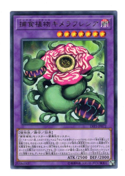 画像1: 捕食植物キメラフレシア Rare (1)