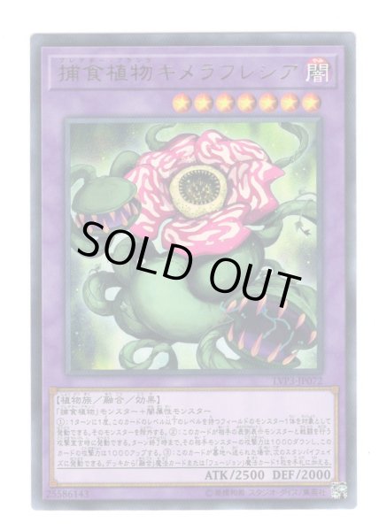 画像1: 捕食植物キメラフレシア Rare (1)
