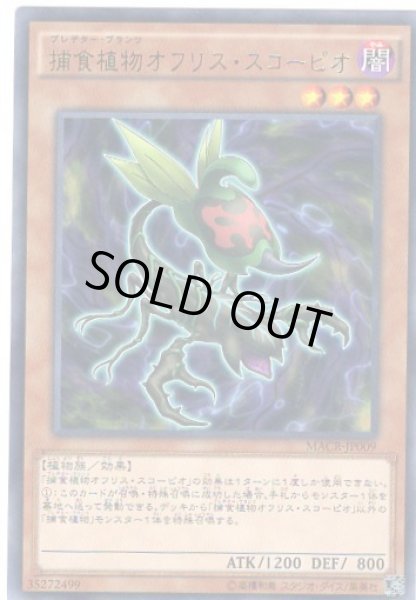 画像1: 捕食植物オフリス・スコーピオ Rare (1)