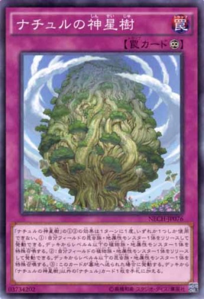 画像1: ナチュルの神星樹 (1)