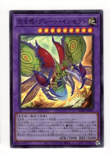 フォトンハイパーノヴァ - 通販サイト アポロン
