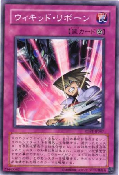 画像1: ウィキッド・リボーン (1)