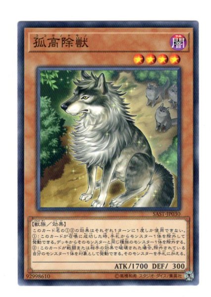 画像1: 孤高除獣  Normal Rare (1)